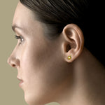 Load image into Gallery viewer, 14k Yellow Solid Gold Turtle Stamping Earrings
