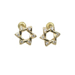 Load image into Gallery viewer, 14k Gold Star of David Stud Earrings with Screw Back
